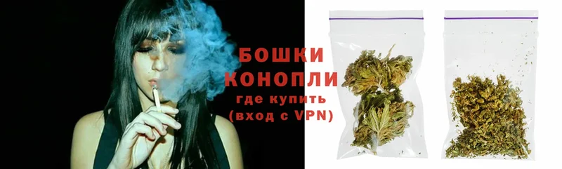 Шишки марихуана Amnesia  где купить наркоту  Петушки 